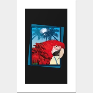 Aliverde Macaw Posters and Art